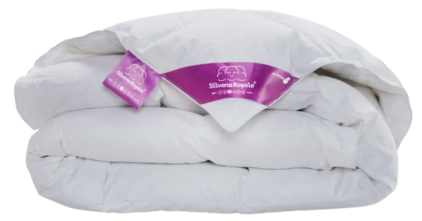 Silvana royale paars