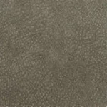 Berch camel 09 150x150