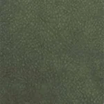 berch jungle 207 150x150
